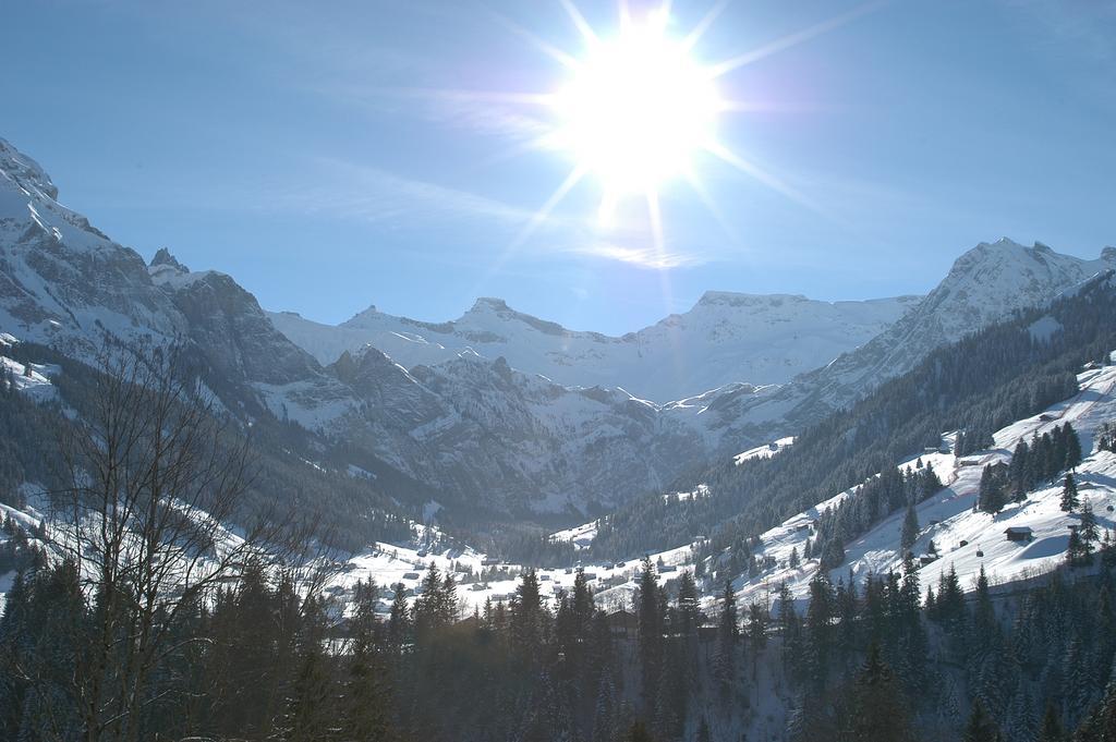 Hotel Steinmattli Adelboden Extérieur photo